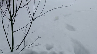 023 Cold Public Blowjob ¦ POV, Cumshot, Facial_Laruna_Mave_1080p.mp4