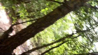 Блондинка в парке жестко трахается под открытым небом