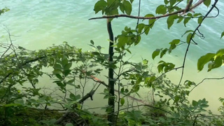 Подруги устроили лесной трилж без запретов — кончили громко и страстно