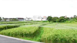 Нежная азиатка ублажает и принимает сперму