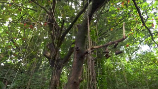 Размер имеет значение: проверяем анал на прочность