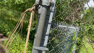 Связанная и покорная: жесткое публичное доминирование без правил